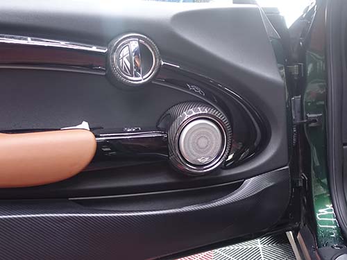 助手席側カーボンスピーカーカバーのアップ画像