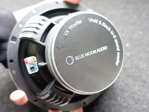 BLUE MOON AUDIO VX165 ACTIVE