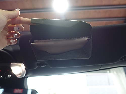 VISOR CASE Alcantara Edition装着