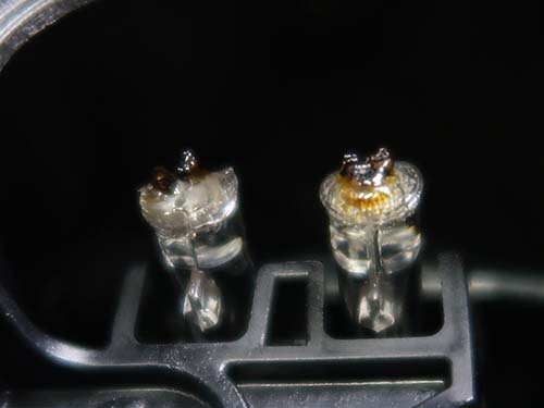 ヘッドライトを取り外して内部を確認