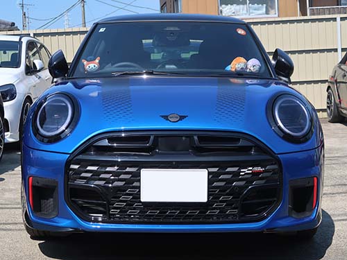 ダイヤモンドスウェル製ブラックバイオレット