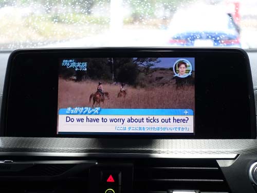 BMW X4 G02 TVキャンセル