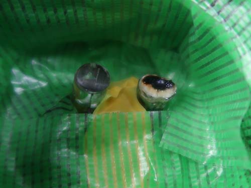 BMW X4 G02 デイライト 修理|焼損したアクリルをリペア