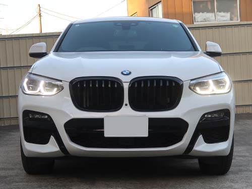 暗く茶色だったデイライトはホワイト光で明るく発光する状態へ回復