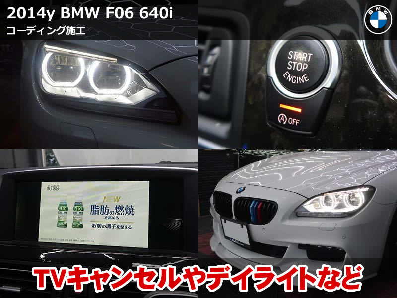 BMW F06 コーディング｜TVキャンセルやデイライトなど