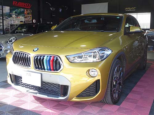 BMW X2(F39) 18d