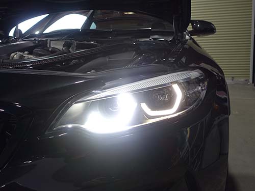 デイライト用LEDモジュールを交換済み