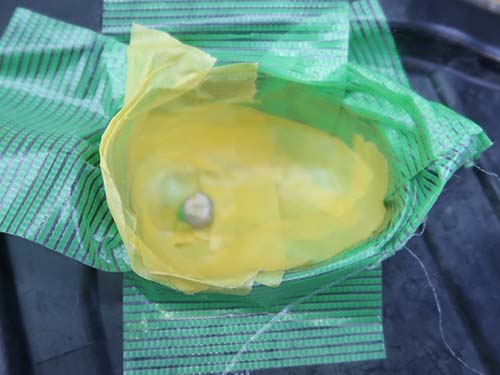 デイライト導光用アクリルがLEDの発熱により溶解