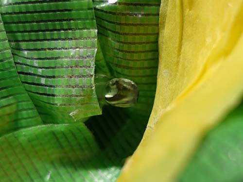 ヘッドライト修理（アクリルリペア）