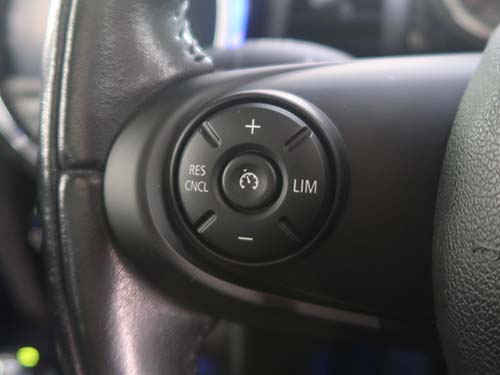 左側にはクルーズコントロールスイッチ